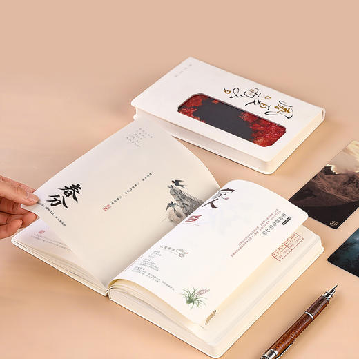 正安 2026养生日记本 十年纪念版 一册双玩法月月换心境 跟着节气养身心 感知生活动律 商品图1
