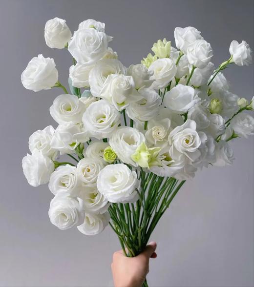 【俊发社区物业中心自提商品】【月光白洋桔梗 草花】鲜花600-800g 「云朵白·柔软层叠」 商品图0