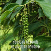 南食召 本香黑胡椒 商品缩略图4
