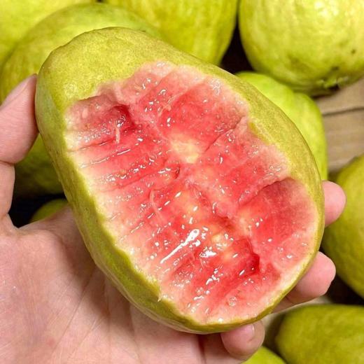 草莓芭乐2个/450g+ 商品图1