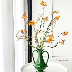 【俊发社区物业中心自提商品】【火焰兰 草花】鲜花20枝 「橙红跃动·野性张力」