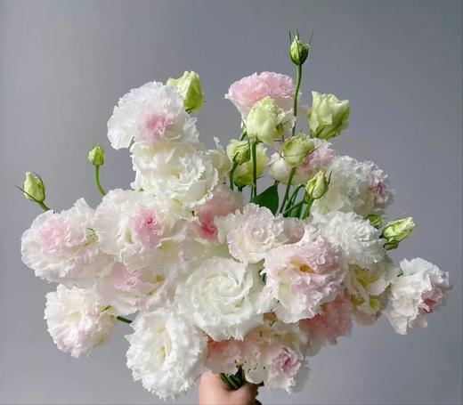 【俊发社区物业中心自提商品】【冰淇淋洋桔梗 草花】鲜花600-800g「奶油甜香·治愈系花材」 商品图3
