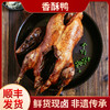 【顺丰包邮】蒋卤鹅 老卤香酥鸭1只装 商品缩略图0
