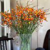 【俊发社区物业中心自提商品】【火焰兰 草花】鲜花20枝 「橙红跃动·野性张力」 商品缩略图4