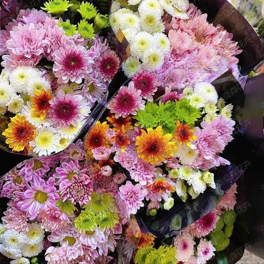 【俊发社区物业中心自提商品】【元气爆炸混色小菊 草花】鲜花10枝 「混色一扎·超长待机」 商品图2