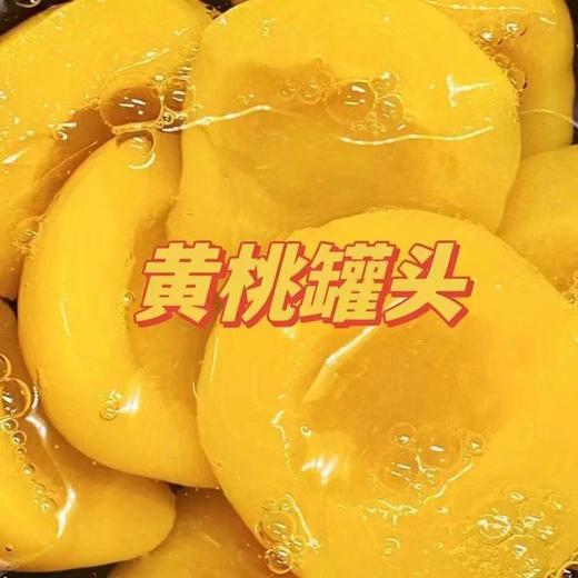 都乐罐头一瓶 商品图1