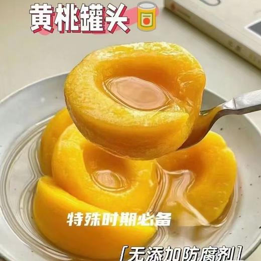 都乐罐头一瓶 商品图2
