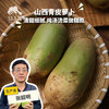 生态青皮萝卜 | 合作生产*Eco-white radish | Partner Production 商品缩略图0