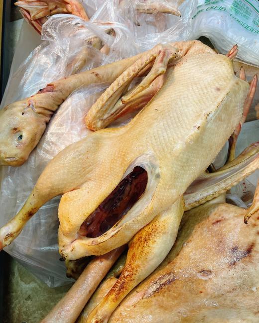 现杀大鹅一只 商品图1