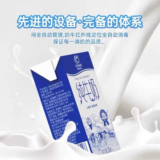 【严选】【新疆原生态牧场 每100ml含3.3g优质蛋白质】芙拉薇赫优质牧场生牛乳 颜色偏黄口感更好 美味纯奶 营养早餐200ml*16盒 商品图2