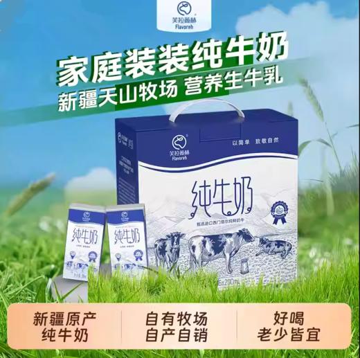 【严选】【新疆原生态牧场 每100ml含3.3g优质蛋白质】芙拉薇赫优质牧场生牛乳 颜色偏黄口感更好 美味纯奶 营养早餐200ml*16盒 商品图0
