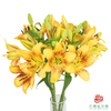 VDB百合-金麻子 5枝一扎 商品缩略图0