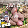 生态土豆（云南，韵达）| 合作生产*Eco potato | Partner Production 商品缩略图0