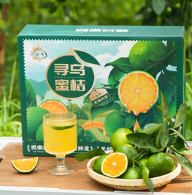 橙诵 寻乌蜜橘礼盒