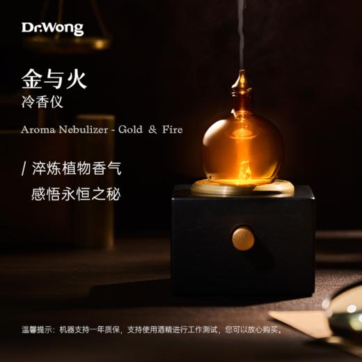「金与火」 冷香仪 商品图1