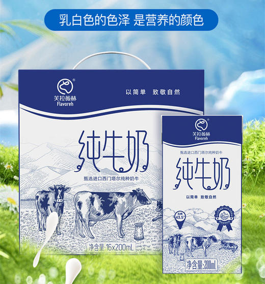 【严选】【新疆原生态牧场 每100ml含3.3g优质蛋白质】芙拉薇赫优质牧场生牛乳 颜色偏黄口感更好 美味纯奶 营养早餐200ml*16盒 商品图1