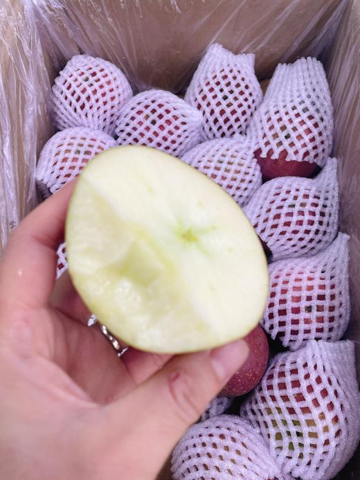 大凉山丑苹果三斤 商品图0