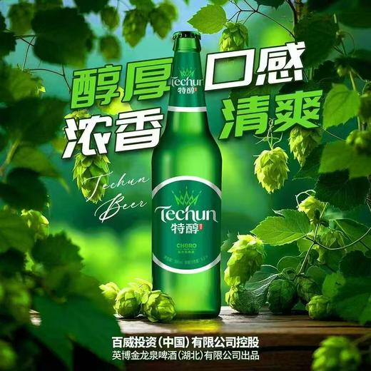 金龙泉特醇啤酒 酒精度：3.1° 麦芽度：8° 商品图3
