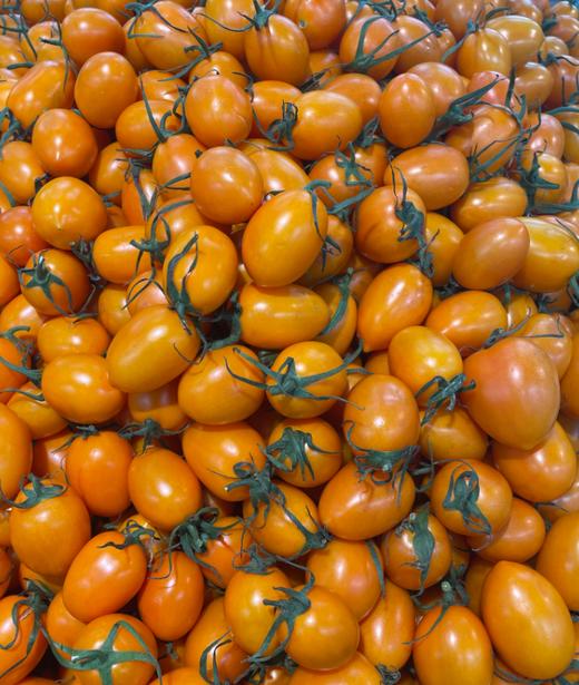 黄金蜜柿一斤 商品图0