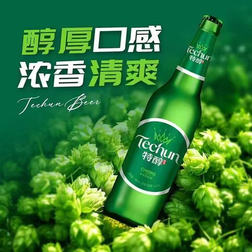 金龙泉特醇啤酒 酒精度：3.1° 麦芽度：8° 商品图1