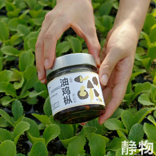 油鸡枞200g｜云南 商品图1