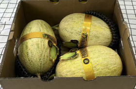 青蛙王子哈密瓜（2.5~3斤左右）