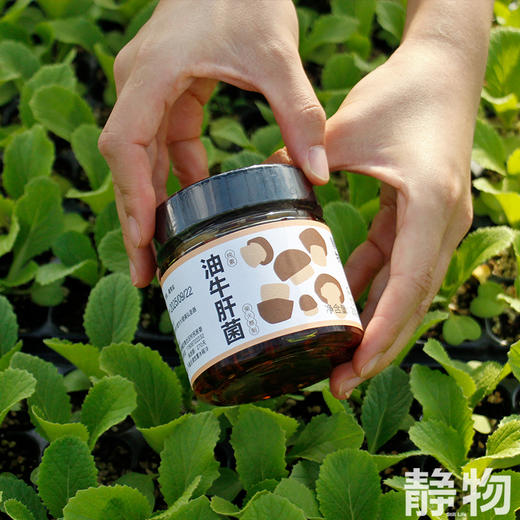 油牛肝菌200g｜云南 商品图2
