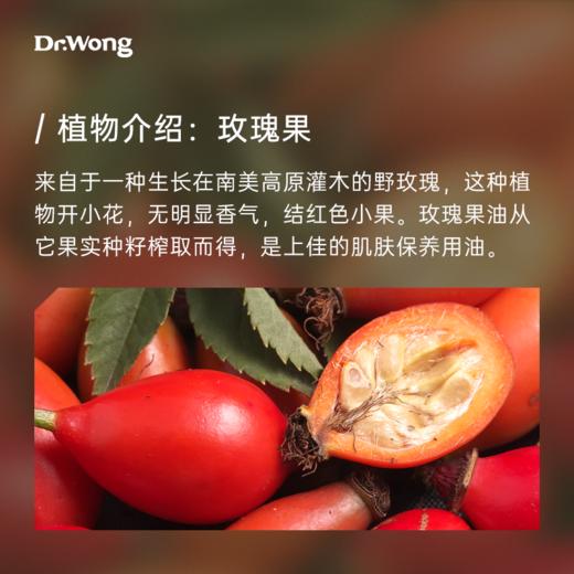 「玫瑰果」基础油 商品图1