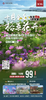 “金秋十月 格桑花开” 晋宁格桑花海+牛恋小渔村+捞鱼河湿地公园一日游（YX） 商品缩略图0