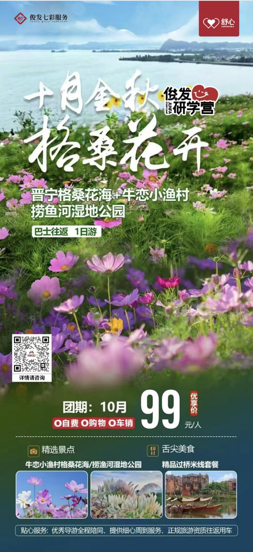 “金秋十月 格桑花开” 晋宁格桑花海+牛恋小渔村+捞鱼河湿地公园一日游（YX） 商品图0