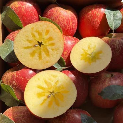 【云南昭通丑苹果】香脆可口 清甜脆爽 果香浓郁 酸甜适中 细滑多汁  4种规格任选 商品图4