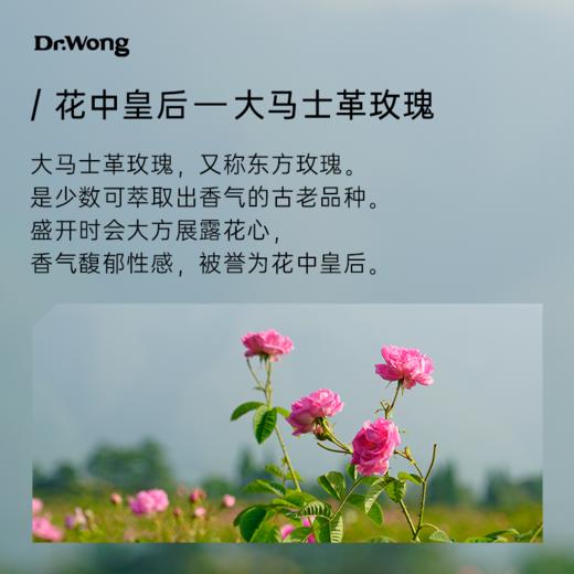 大马士革玫瑰纯露 商品图1