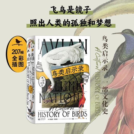 鸟类启示录：一部文化史 商品图0