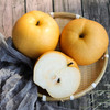 有机秋月梨（6粒装 2.3kg）/盒 爱马仕礼盒+手提袋 产地直发全国包邮配送（偏远地区除外） 商品缩略图0