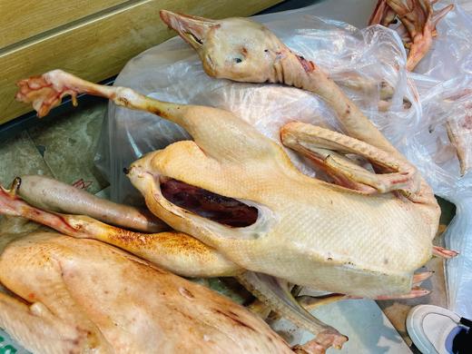 现杀大鹅一只 商品图0