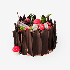 双莓巧克力蛋糕