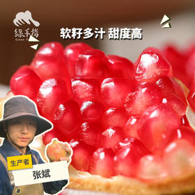 有机突尼斯软籽石榴 | 合作生产 *Organic soft-seeded pomegranate| Partner Production