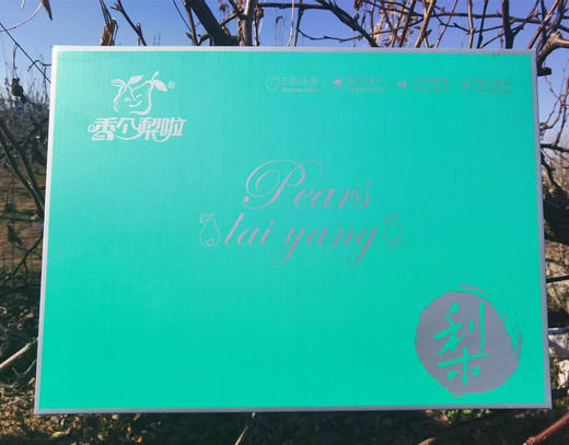 有机秋月梨（6粒装 2.3kg）/盒 爱马仕礼盒+手提袋 产地直发全国包邮配送（偏远地区除外） 商品图5