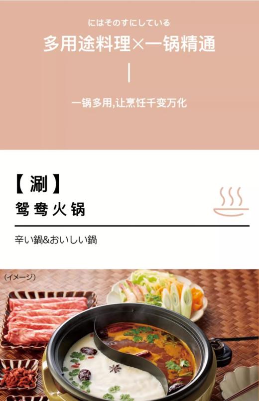 西哲可拆卸鸳鸯锅ASP-390 商品图1