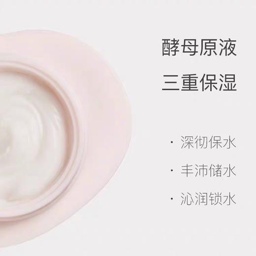 盖亚的秘密晶莹嫩肤面霜50ml 商品图3