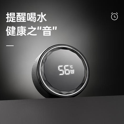 物生物尚茗泡茶师礼盒500ml 商品图2