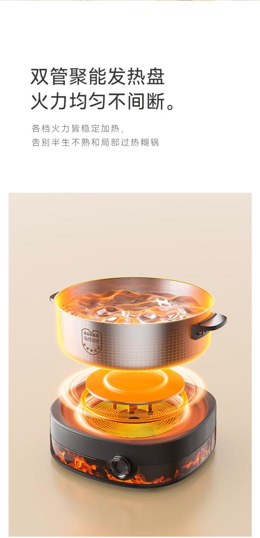 GLASSLOCK盖朗3D仿真碳火0涂层不锈钢电火锅6L 商品图5