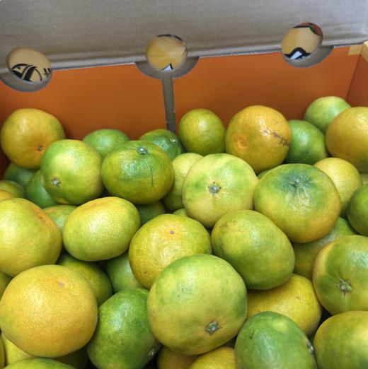 红土爆橘3.4斤左右 商品图0