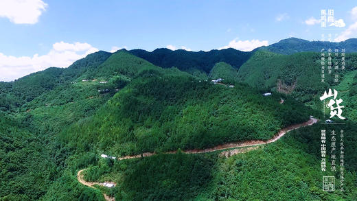 旧院黑鸡蛋 商品图8