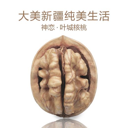 【严选】【绿色有机 新疆叶城种植 皮薄肉厚】神恋有机手剥核桃 手捏即开 果仁丰满 绿色健康 休闲零食 500g （厂家直发） 商品图2