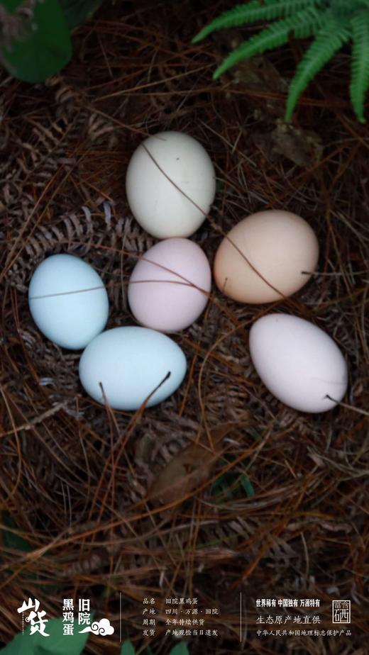 旧院黑鸡蛋 商品图2