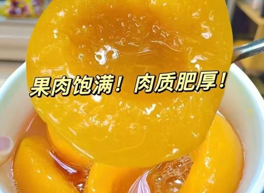 璟立罐头2瓶 商品图3