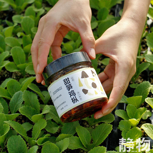 甜笋鸡枞200g｜云南 商品图1