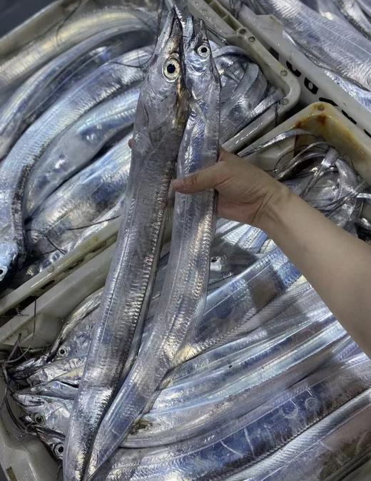 XLJ启掌柜下饭带鱼102g/罐 商品图4