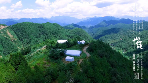 旧院黑鸡蛋 商品图7